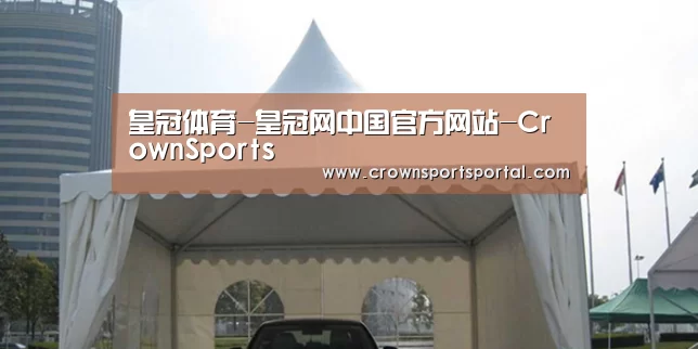 案例标题八(图1)